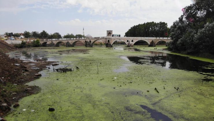 Su akışı durdu, Tunca Nehri yeşile döndü